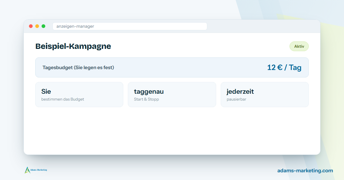 Anzeigen-Manager mit frei wählbarem Tagesbudget, Beispielansicht zum Thema Werbekosten.